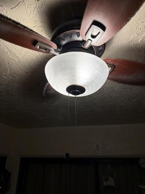 Ceiling Fan Bowl Light Diffuser