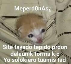 Meper donas