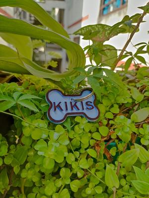 Placa personalizada para mascotas (con nombre y número de contacto).
