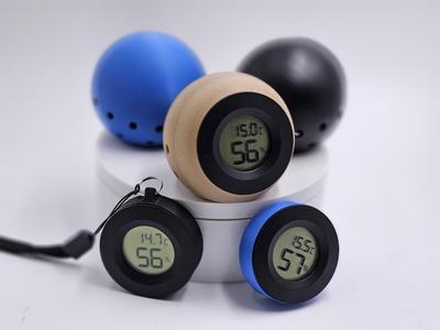 Case for Digital Thermometer Hygrometer