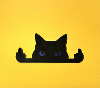 Middle Finger Cat