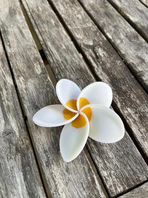 Monoï flower - fleur de Monoï