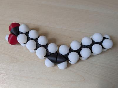 Elaidic acid or Oleic acid model kit