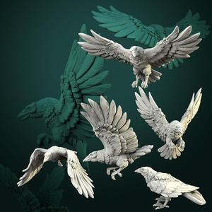 Crows set 5 miniatures pre-supported