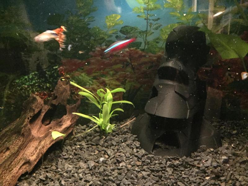 Broken aquarium moai