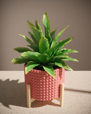 Quintana Planter 3D Print Stl File | Stl File For 3D Printers | 3D Home Decor – Digital Download