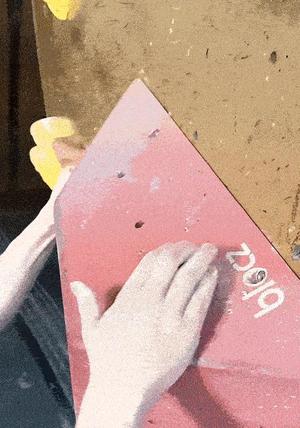 Rock Climbing/ Bouldering Holds