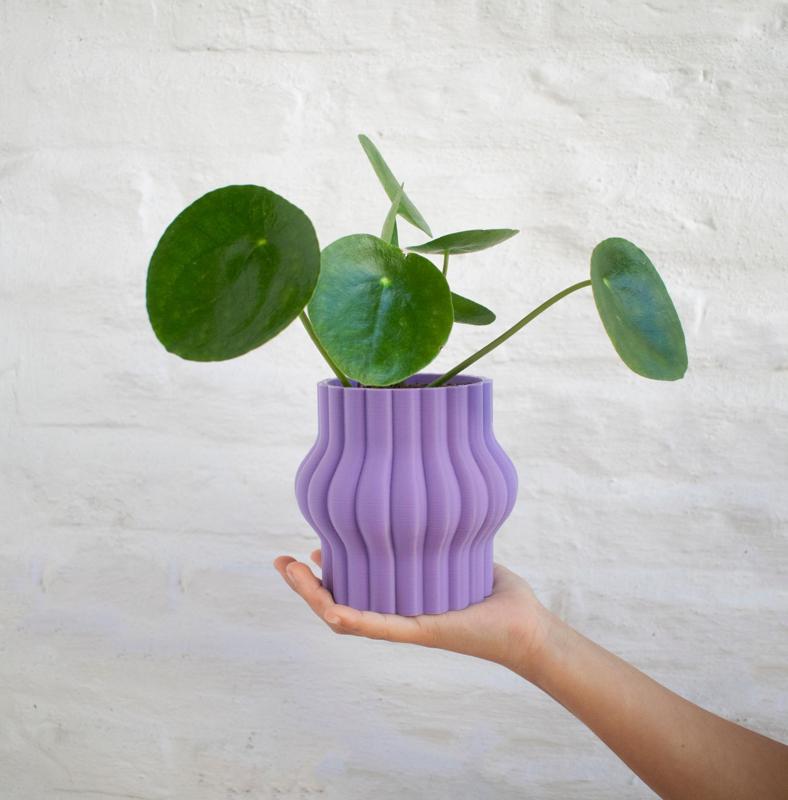 Aplaste Pot size small