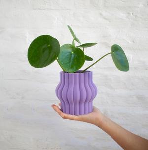 Aplaste Pot size small