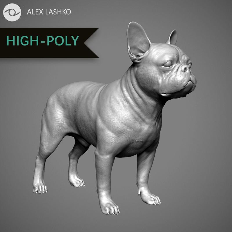 French Bulldog High-Poly