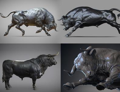 Collection -3 Bull   I  3D Sculpting