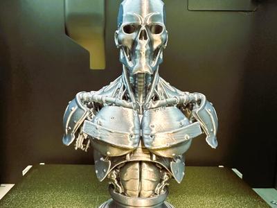 Cyborg Bust