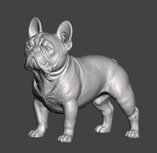 French Bulldog 3D Model