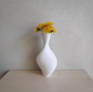 Elliptical vase
