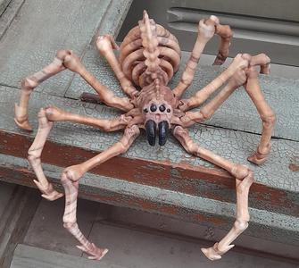 LEONARDZ3D – FLEXI PRINT-IN- PLACE SKELETON SPIDER – HALLOWEEN