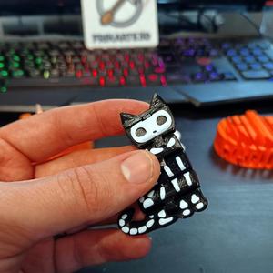 Halloween Flexi Skeleton Cat