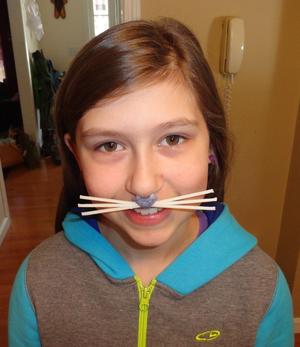 Cat nose