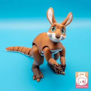 🦘 The Kangaroo Has Arrived! 🦘