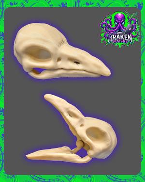 Articulated Raven/Crow Skull