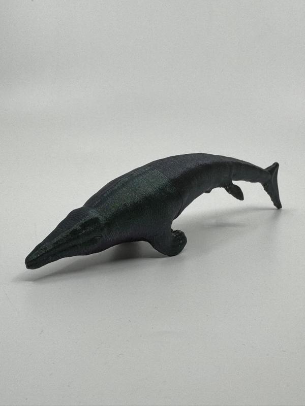 Tylosaurus
