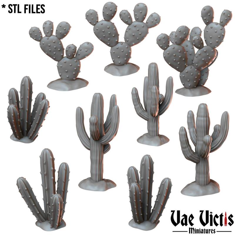 Cactuses