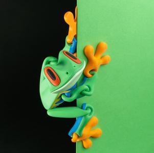Blob Frog - Flexi Magnetic Fidget Art Toy