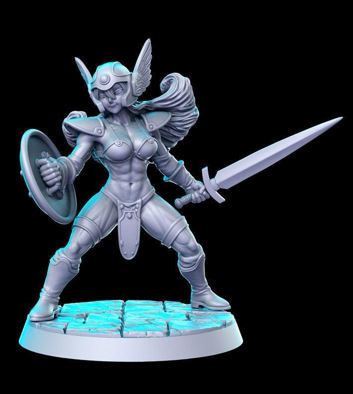 Dragon Quest III Senshi Warrior Akira Toriyama 32m Pre-supported