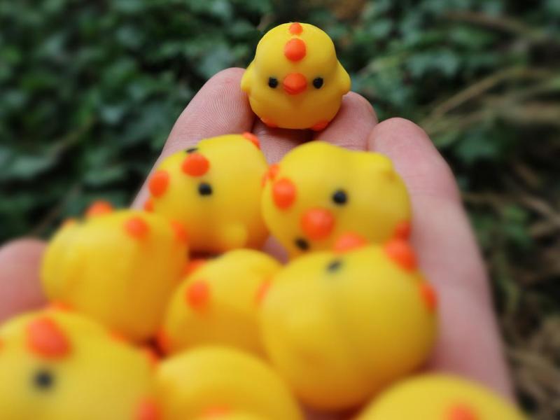 Cute tiny chickss & Keychain version