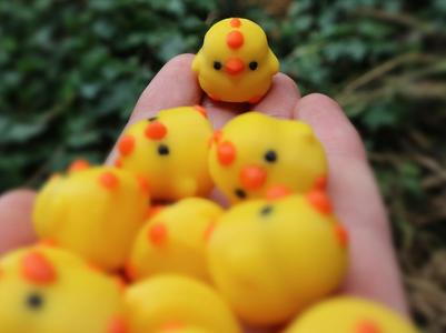 Cute tiny chickss & Keychain version