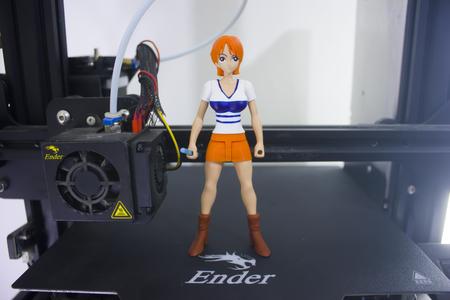 One Piece  / Nami / Articulated / no supports
