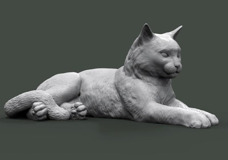 Cat for 3d printing