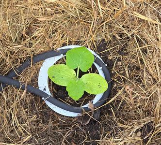 Soaker Hose Ring Holder Guide