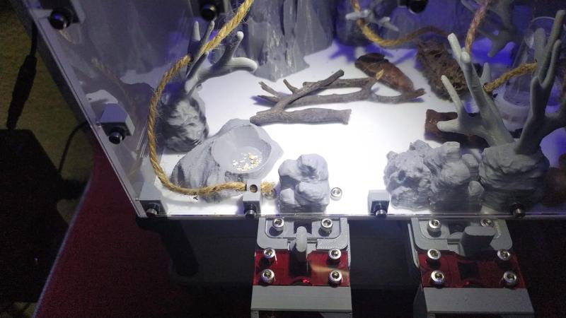 Ant Dimension Rock Mods forrajeo MK2: Monticulos salidas
