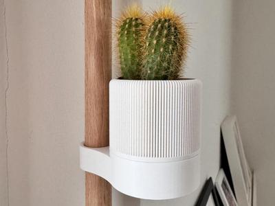 Wall-Mounted Cactus Pots