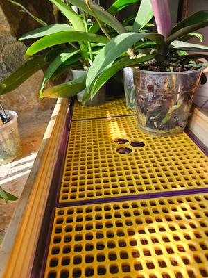 Humidity tray