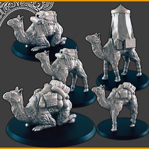 Camels [Support-free]