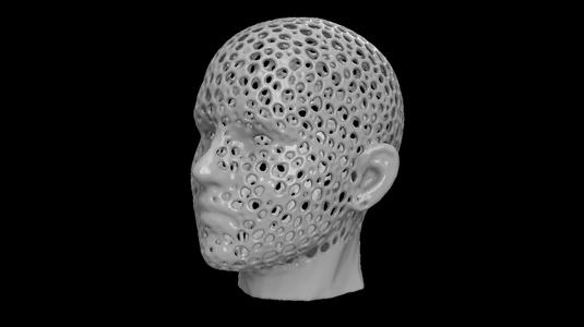 Human head voronoi
