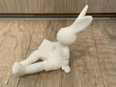 Reading Rabbit. Lovely Decoration