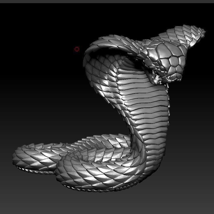 cobra snake