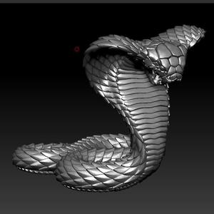 cobra snake