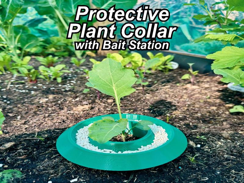 Protective Plant Collar with Bait Station