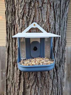 BirdBrain: Smart Bird Feeder - DIY Bird Buddy