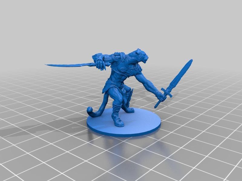 remix - tabaxi fighter rogue