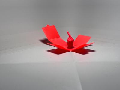 The gift that keeps on flipping!