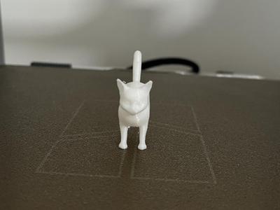 Cute mini cat