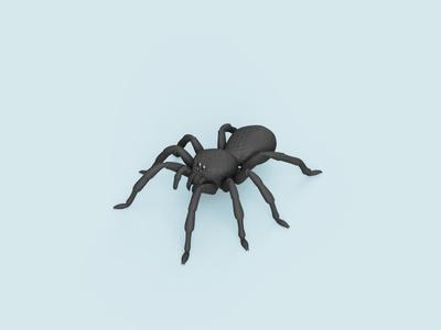 Spider (realistic!)