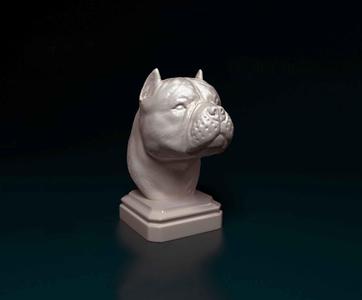 American Bully bust