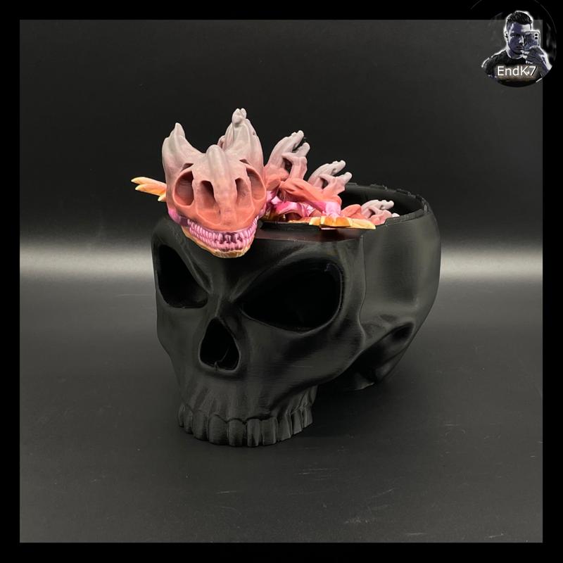 Skull Container Box 💀