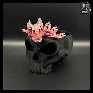 Skull Container Box 💀