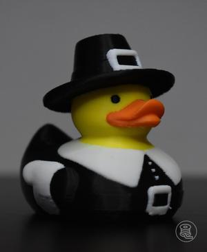 Pilgrim Duck